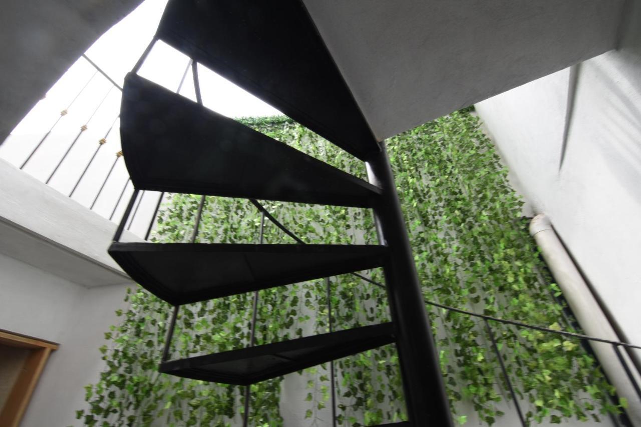 Merida 62 Hostel Ngoại thất bức ảnh